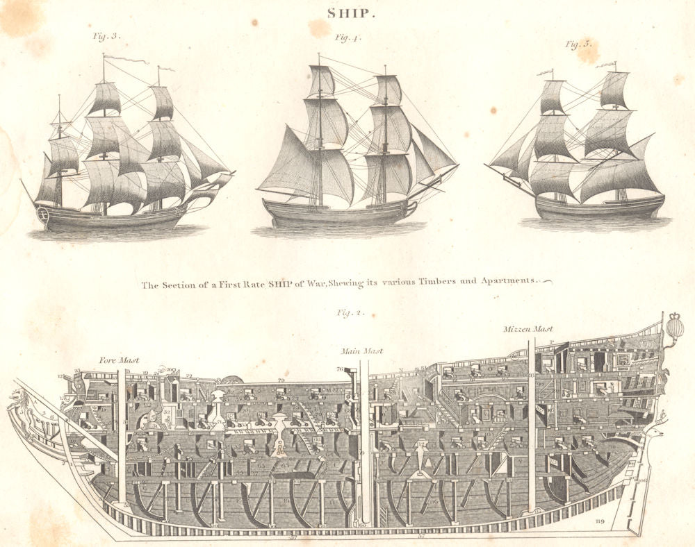 SHIPS. Section of a first rate Ship of War, Showing timbers and apartments 1830